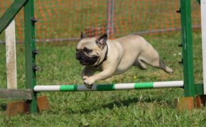 training